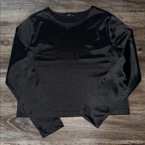 🆕 NWT Express Satin like Crew Neck Crop